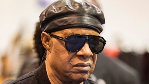 Stevie Wonder getty