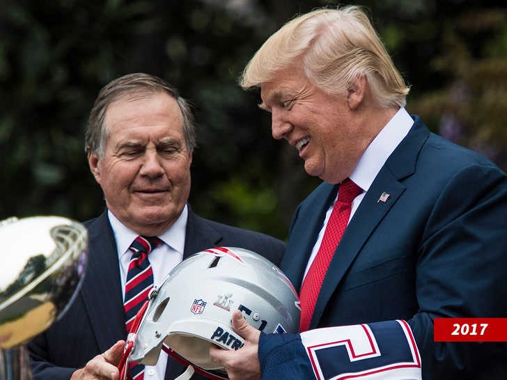 donald trump and belichick