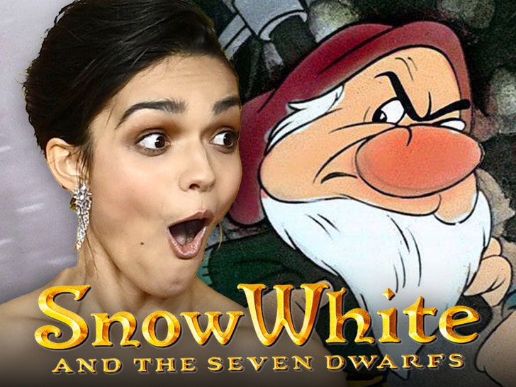 snow white rachel zelger