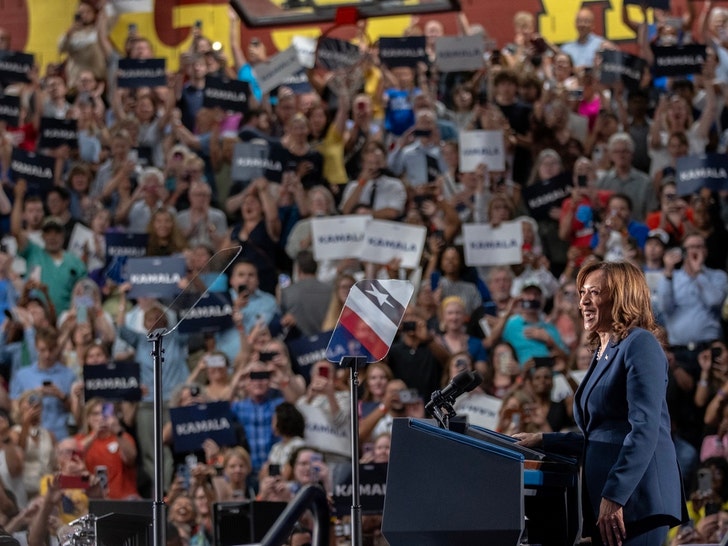 Kamala Harris On The Campaign Trail