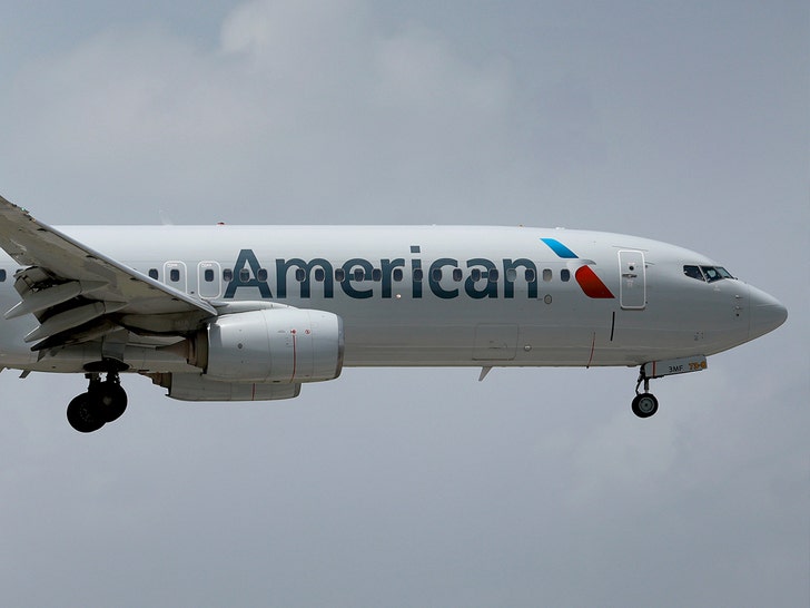 American Airlines Grounds All Flights on Christmas Eve Due to Technical Issue