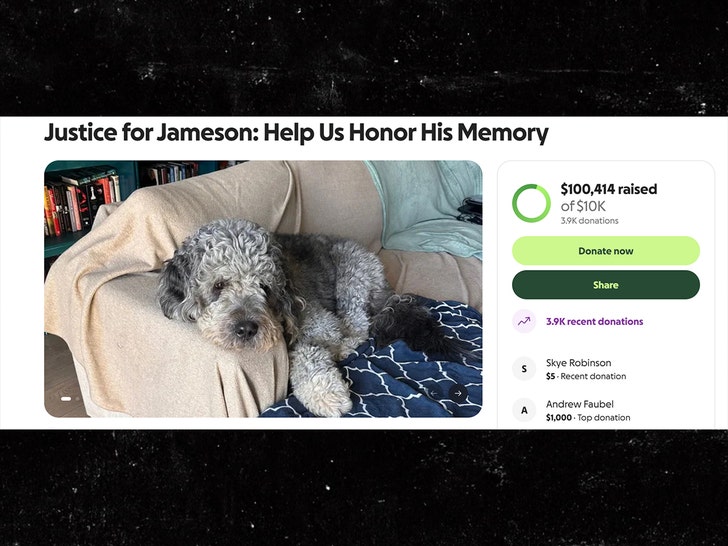 dog shot by lapd gofundme comments 2