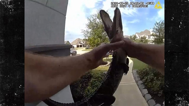 Texas Cop Wrangles Alligator, No Gloves Needed in Body Cam Footage