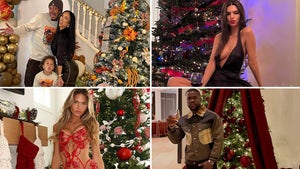 1224-Christmas-Trees-2024-hero