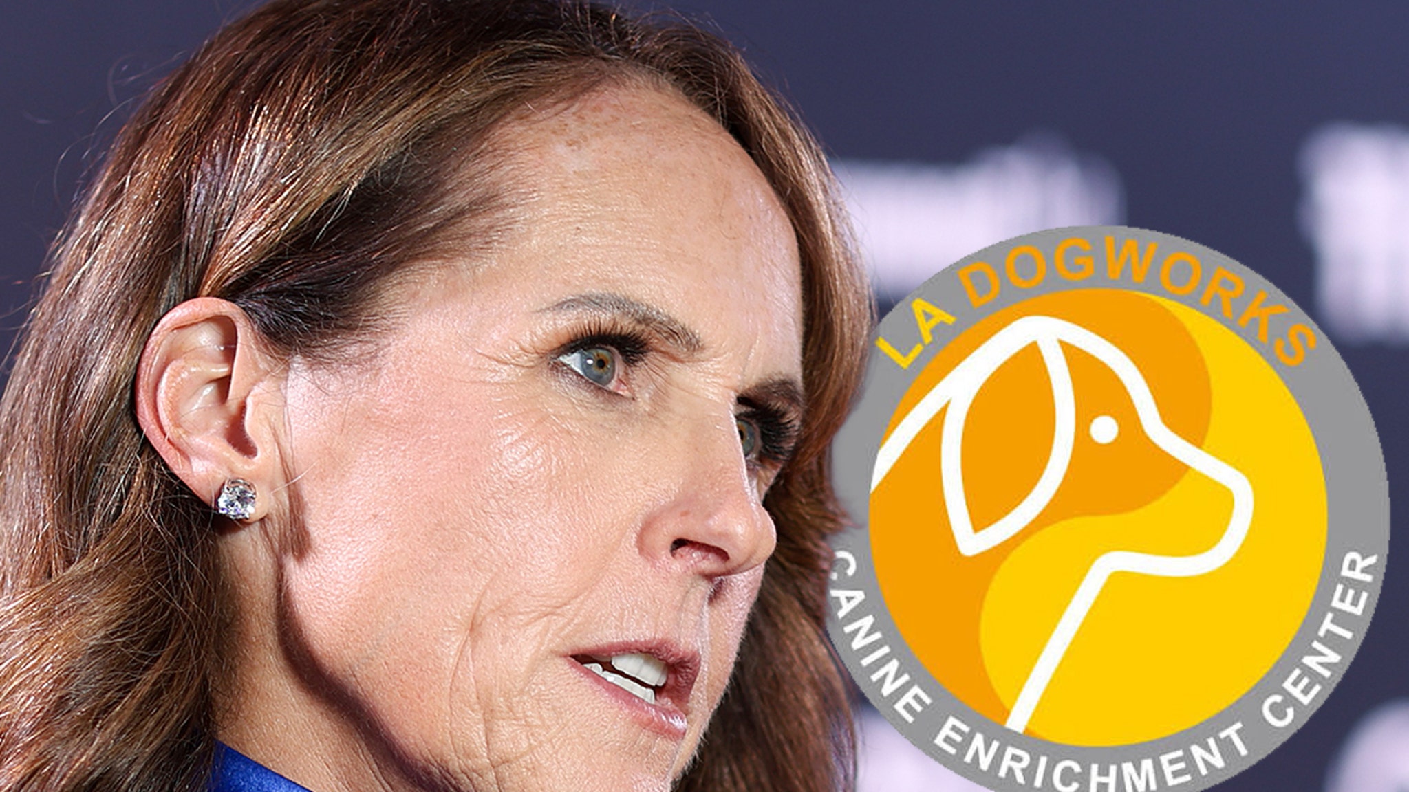 Dog Daycare Owner Claps Back at Molly Shannon's Claims He Called Her 'Ugly'