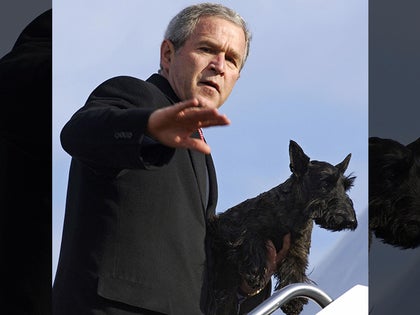 0517-george-bush-dog-getty-01