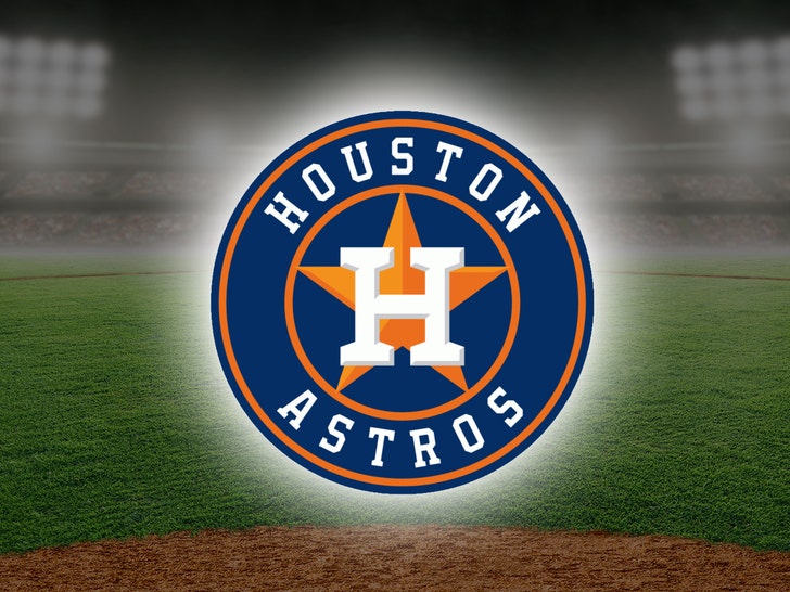 Download Houston Astros Team Photograph Wallpaper
