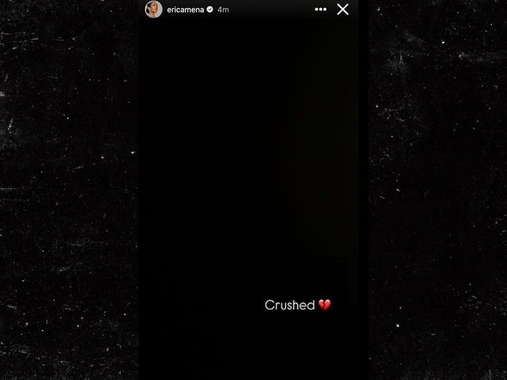 história insta de erica meena