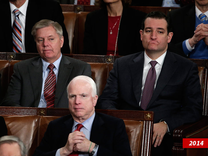 sub ted cruz lindsey graham getty 1