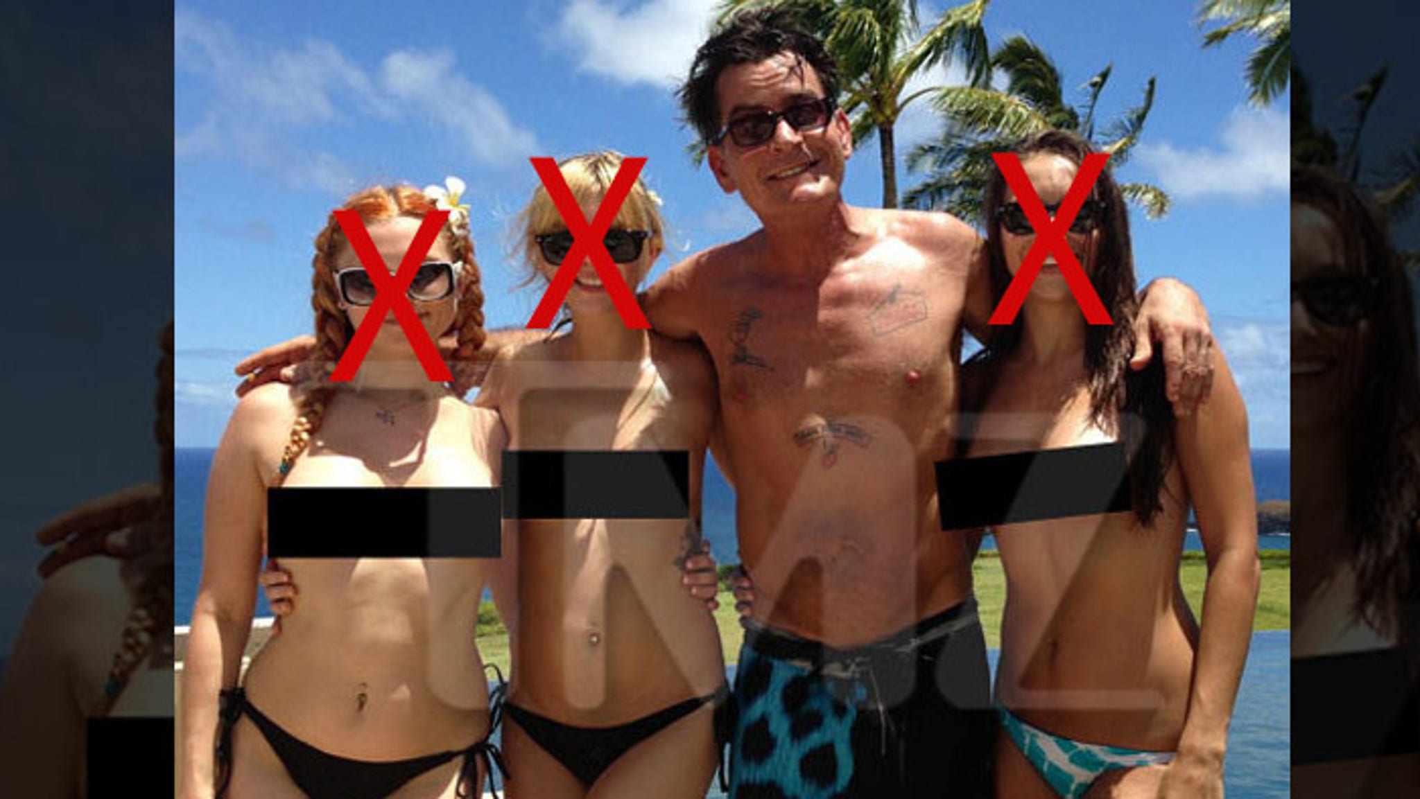 Charlie sheen porn star closet