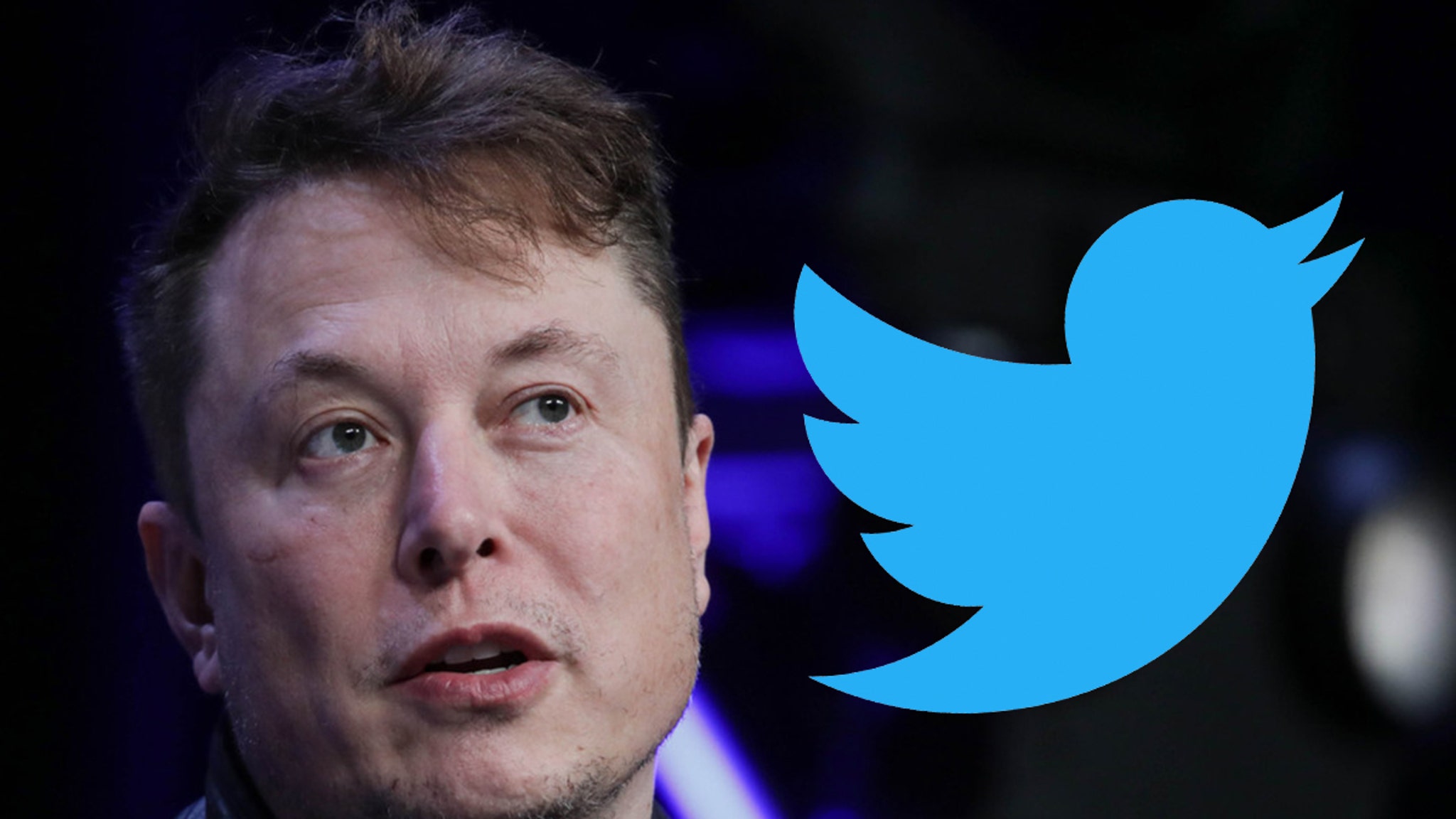 Elon Musk To Terminate His Deal With Twitter