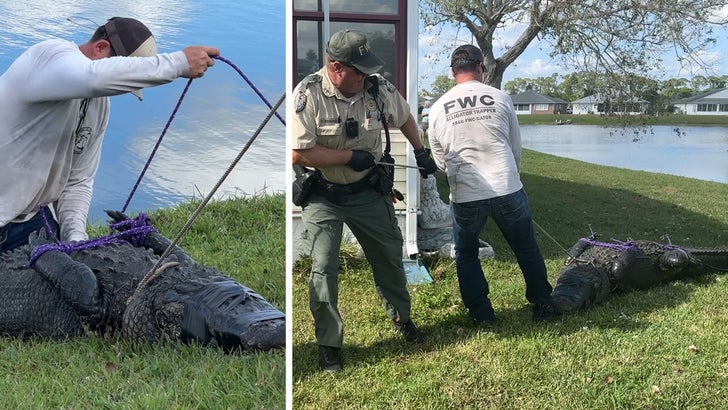 On camera, 85-year-old Florida woman killed by alligator while trying to  protect her dog