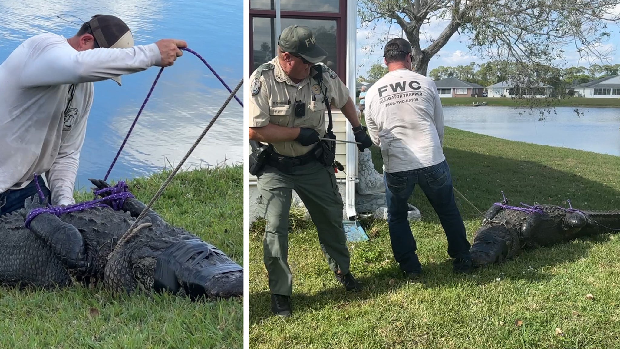 85YearOld Florida Woman Killed by Alligator While Walking Dog