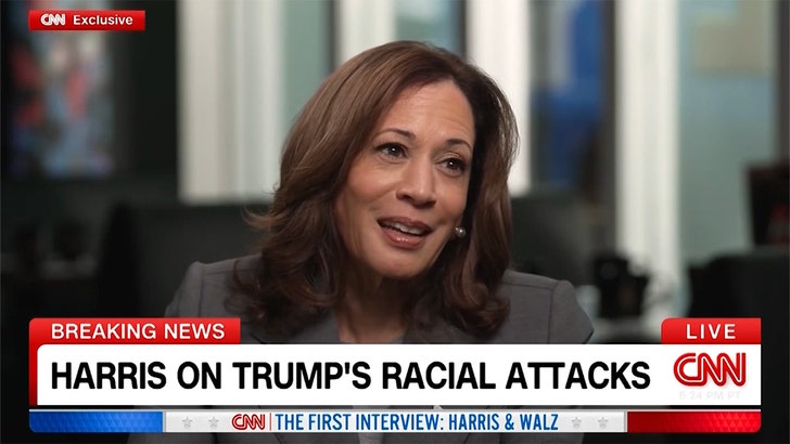 Kamala Harris Responds to Donald Trump’s Remarks About Her Race