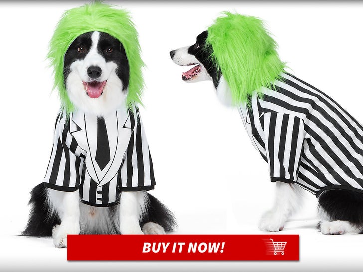 Beetlejuice-Dog-Costume-Hoodie-MAIN