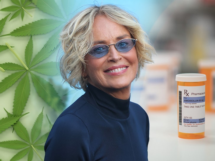 sharon stone weed and pills getty 1