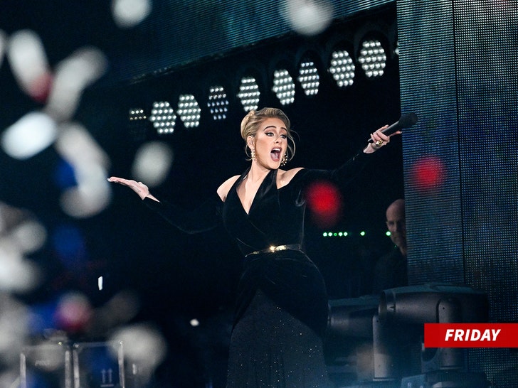 Adele Wore Schiaparelli Haute Couture & Louis Vuitton Performing At BST  Hyde Park