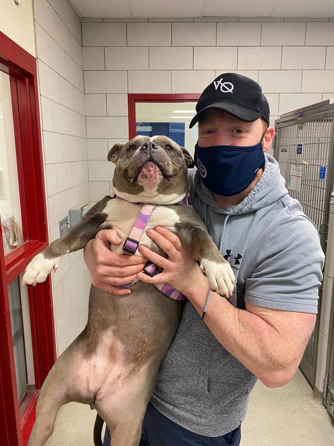Sheamus Dog Betty 13