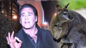 Wayne Newton -- Sorry, That's NOT My Wallaby