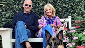 Joe and Jill Biden's Dog, Champ, Dies at 13