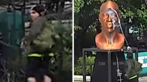 NYC George Floyd Statue Vandal Seen in Video, 'Keepers' Plan to Patrol