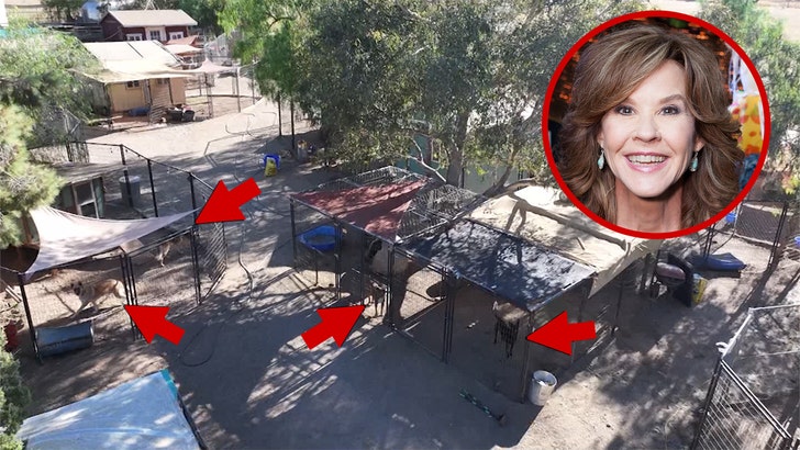 linda-blair-kal-08-03-2026