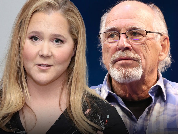 Amy Schumer Reportedly Flashed Boob at Jimmy Buffett's Memorial