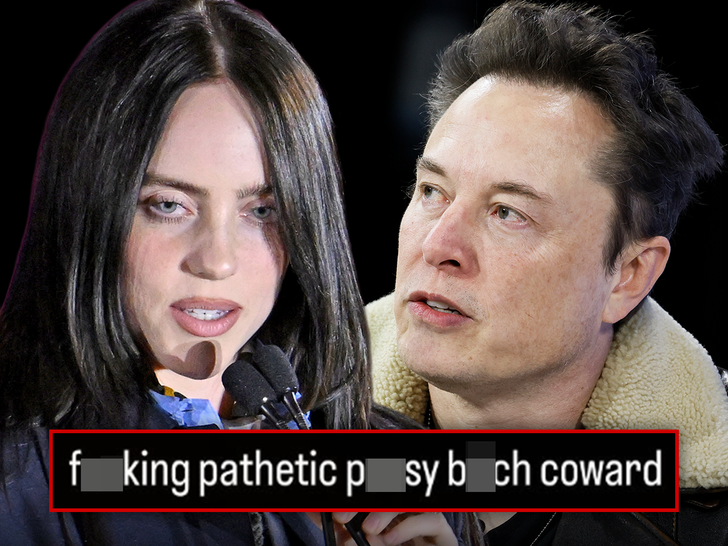 elon musk billie eilish main getty insta composite