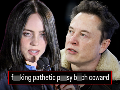 elon musk billie eilish main getty insta composite