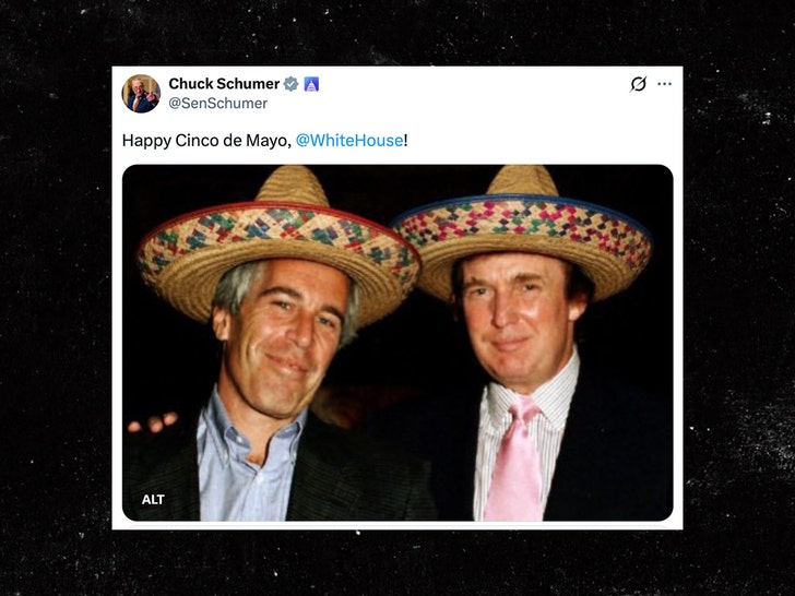 chuck schumer trump x 1