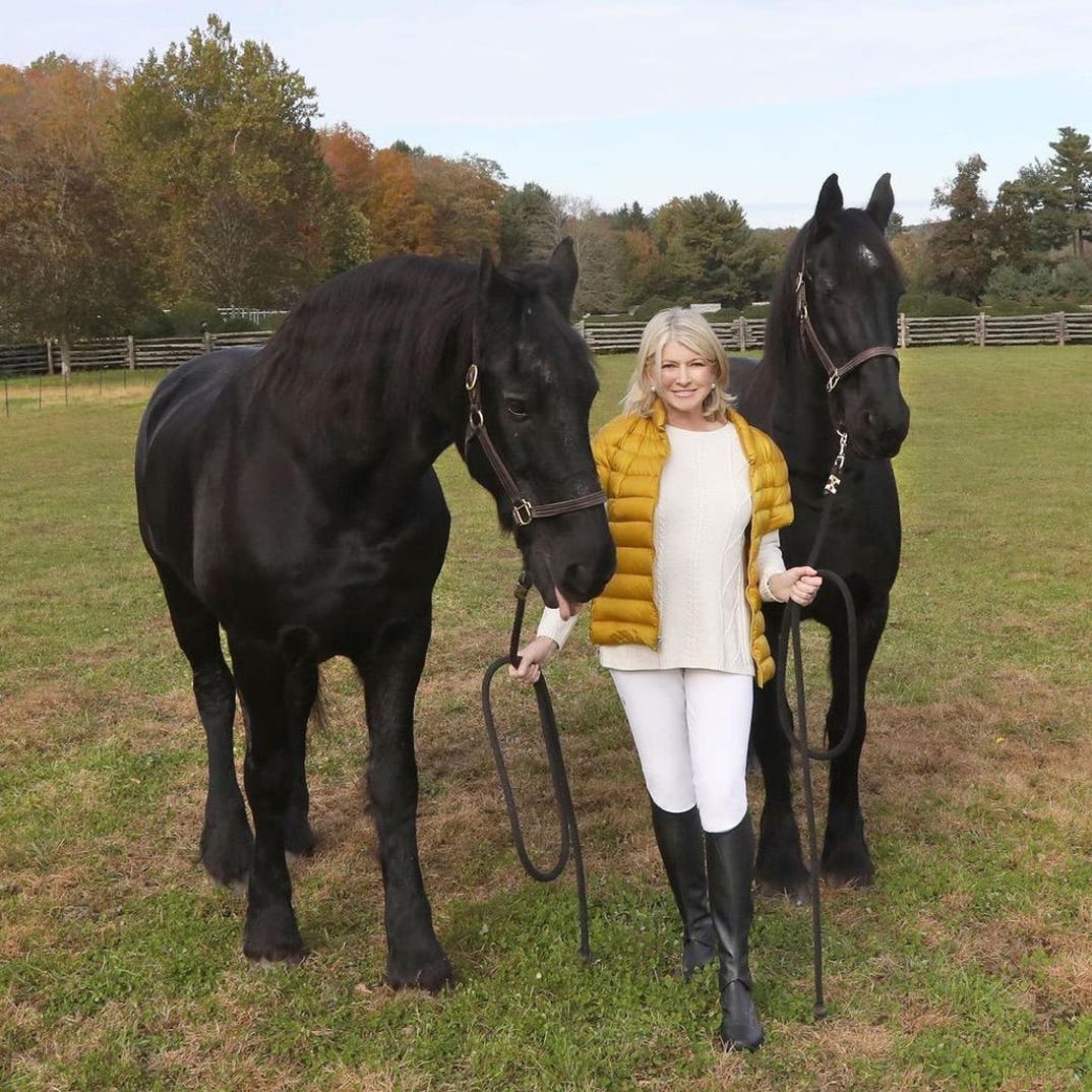 Martha Stewart (Through The Years)