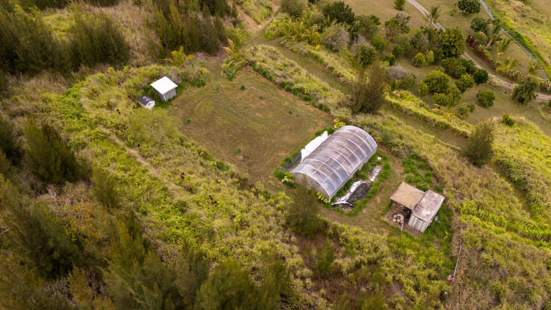 Roseanne Barr Home 11