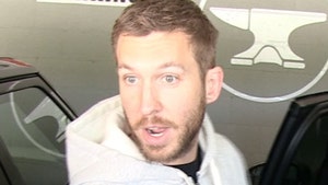 Calvin Harris Sued by Blind Man Over Home Rental Deal