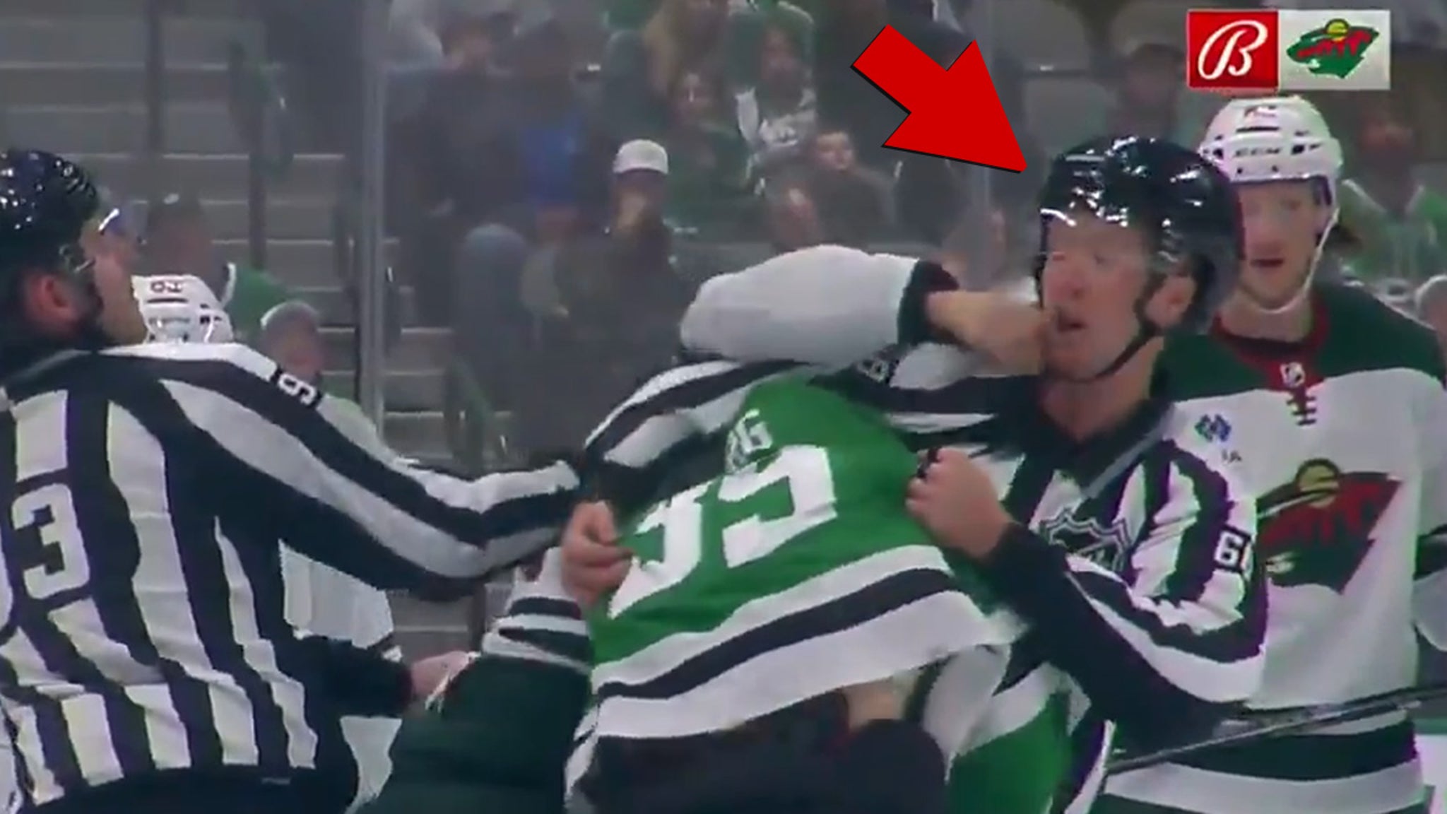 NHL Ref Punched In Face During Wild vs