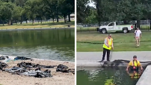070626_reflecting_pool_clean_up_primary