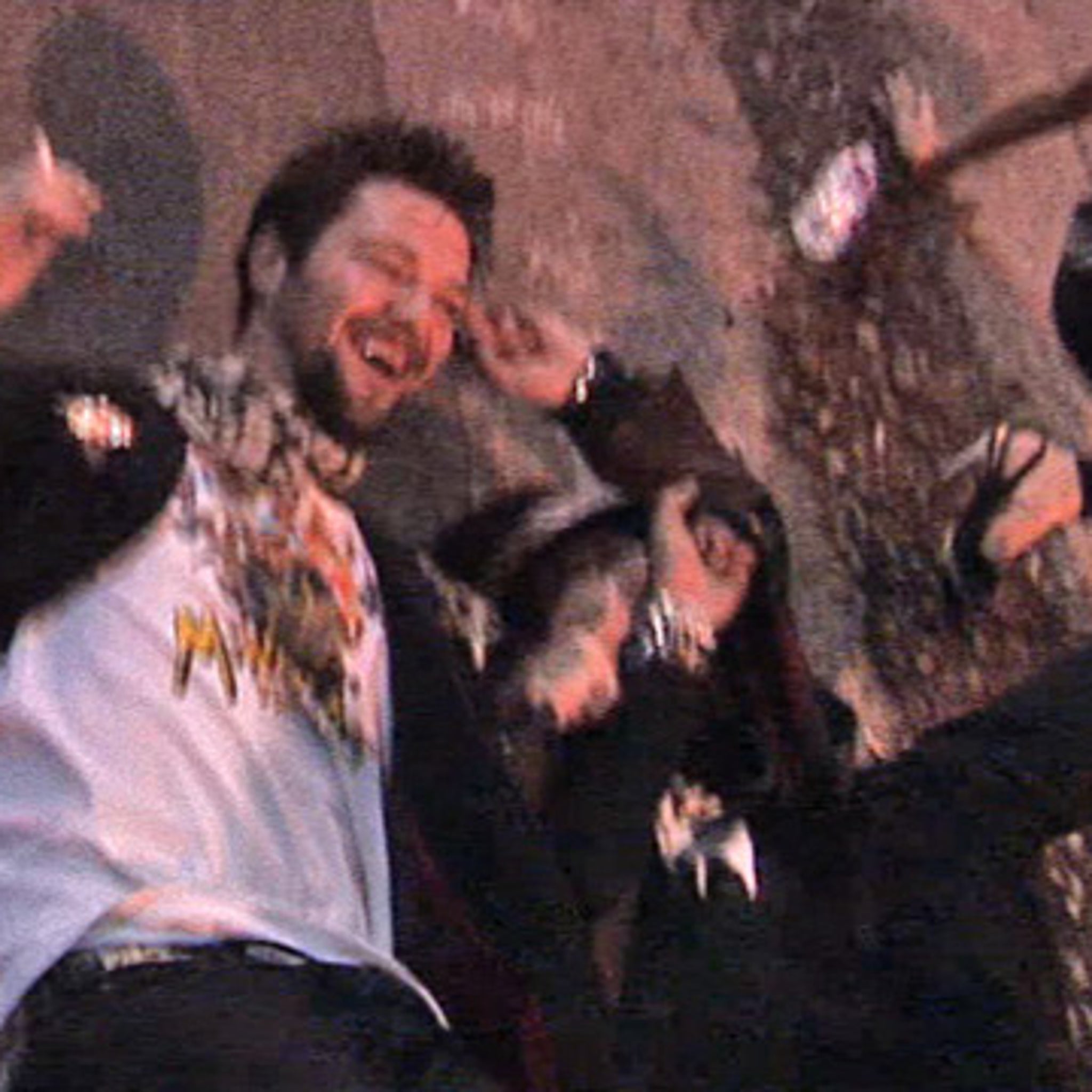 Bam Margera -- Wasted hq pic