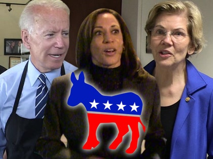 0729 kamala harris joe Biden Elizabeth warren tmz 01