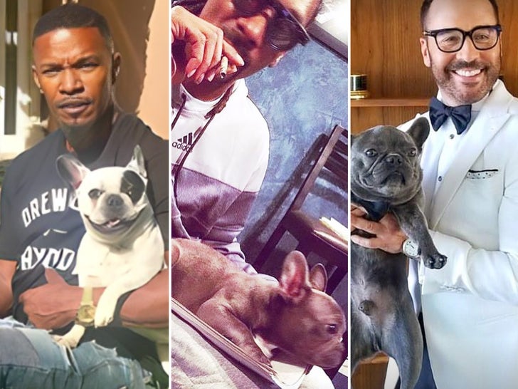 Stars With Famous Owned Bullies