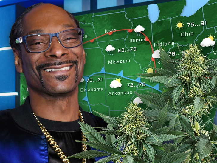 Snoop Dogg fornece boletim meteorológico inspirado na maconha em ‘HOJE’ – sandesam.com