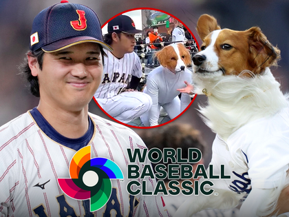 shohei ohtani decoy main getty x