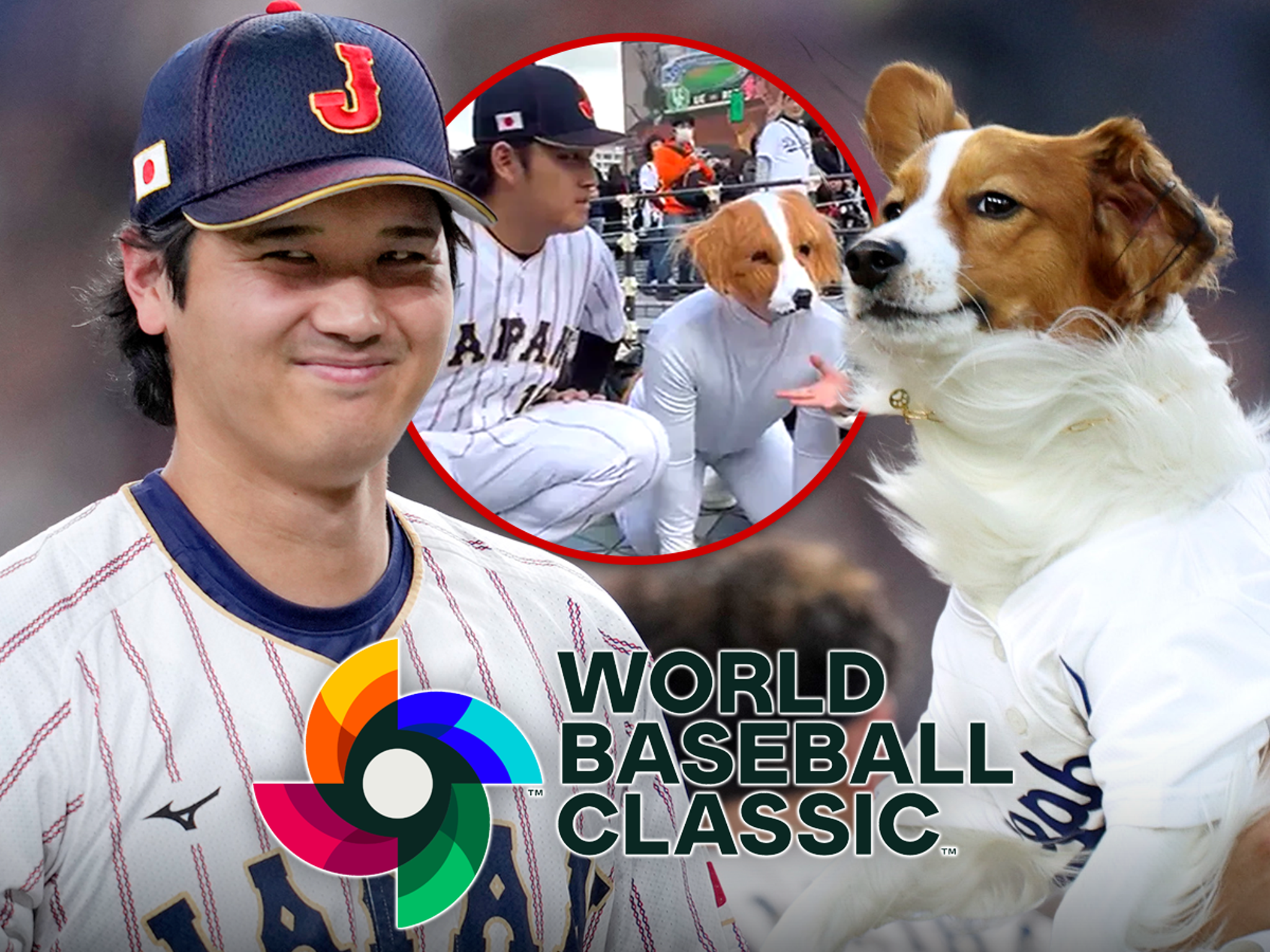 Shohei Ohtani and Decoy Impersonators Crash WBC