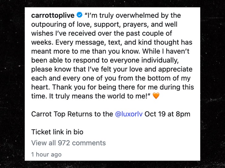 carrot-top-ig-1
