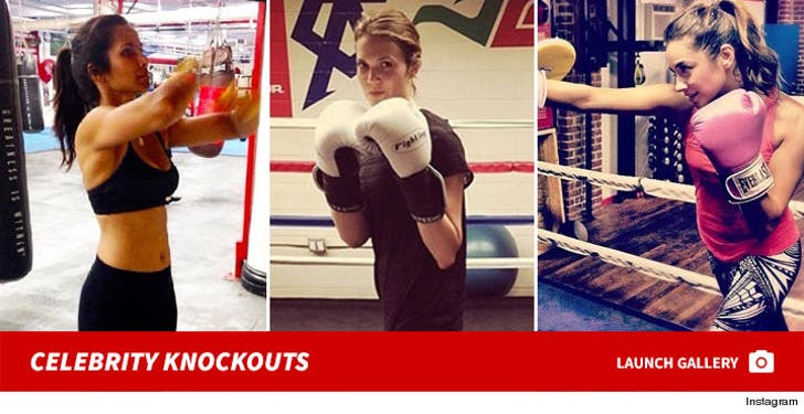 Celebrity Knockouts -- The Power Punching Pack