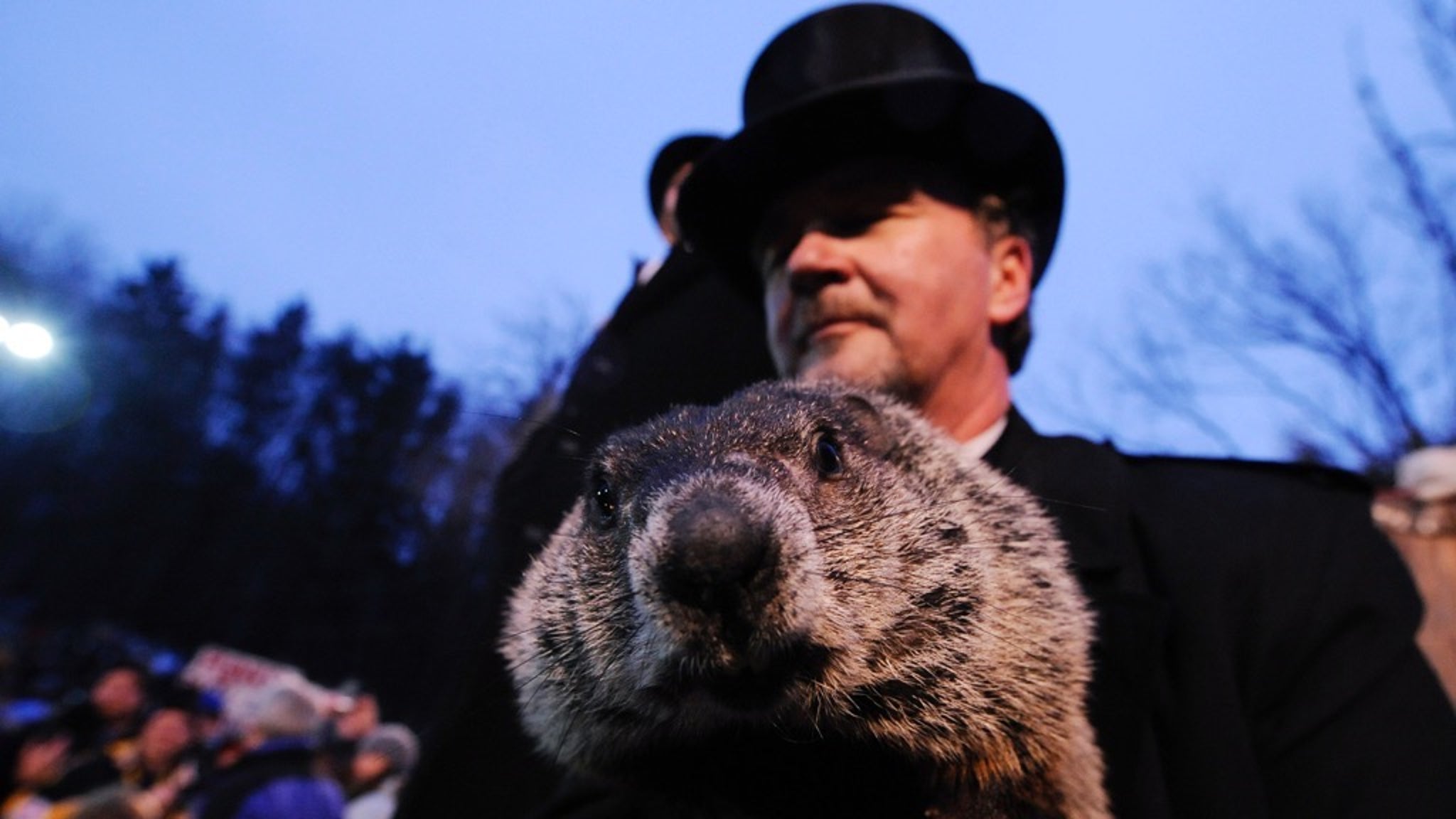 Punxsutawney Phil Through The Years