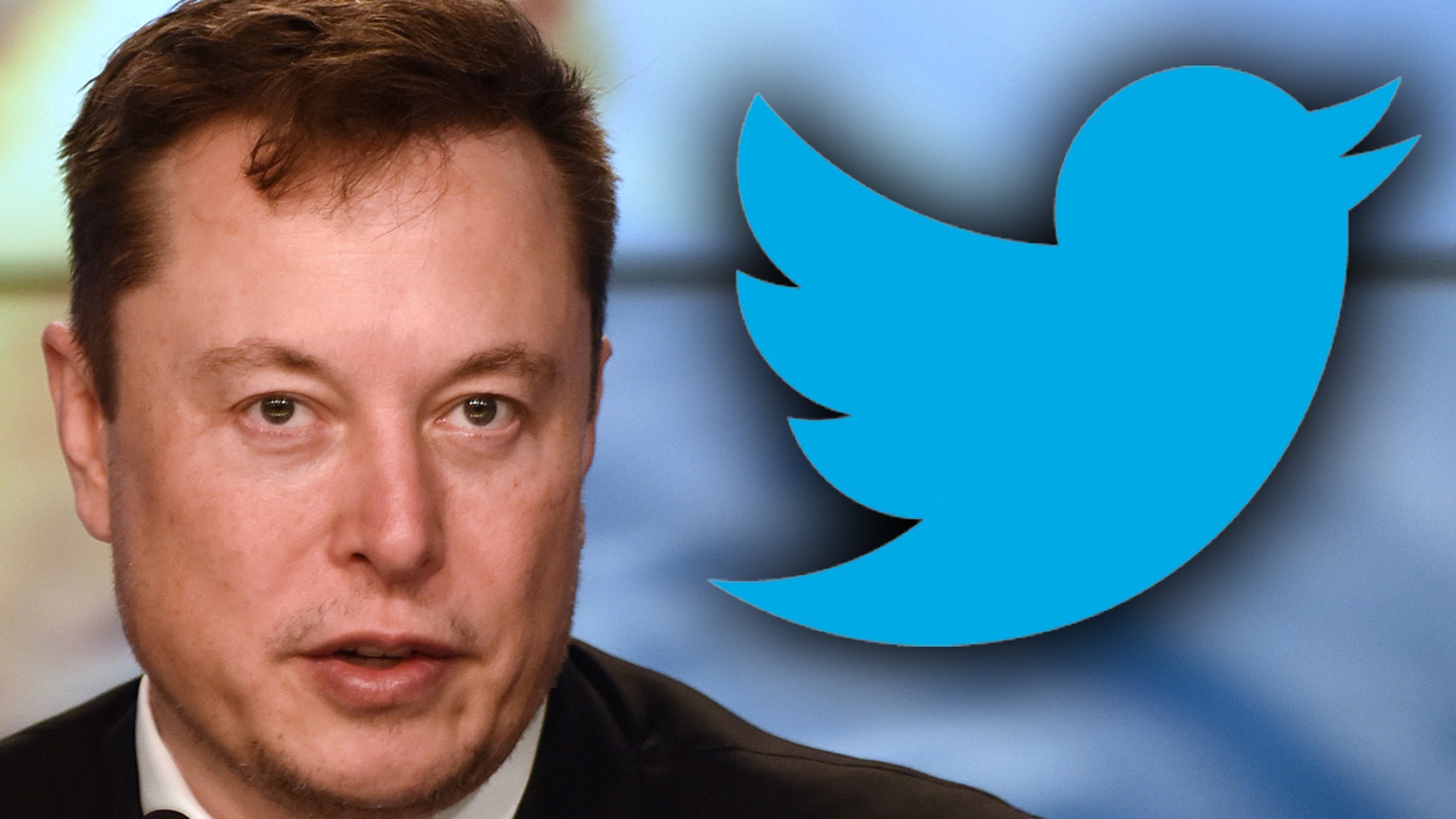 Elon Musk começa a cobrar dos usuários do Twitter US$ 7,99