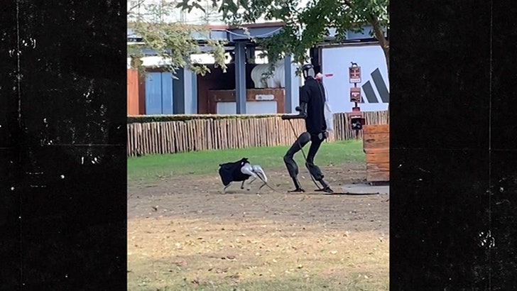 Humanoid Robot Walks Robot Dog in Chinese Park, Video Shows