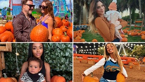 1026-Celebrity-Pumpkin-Pics-2025-hero