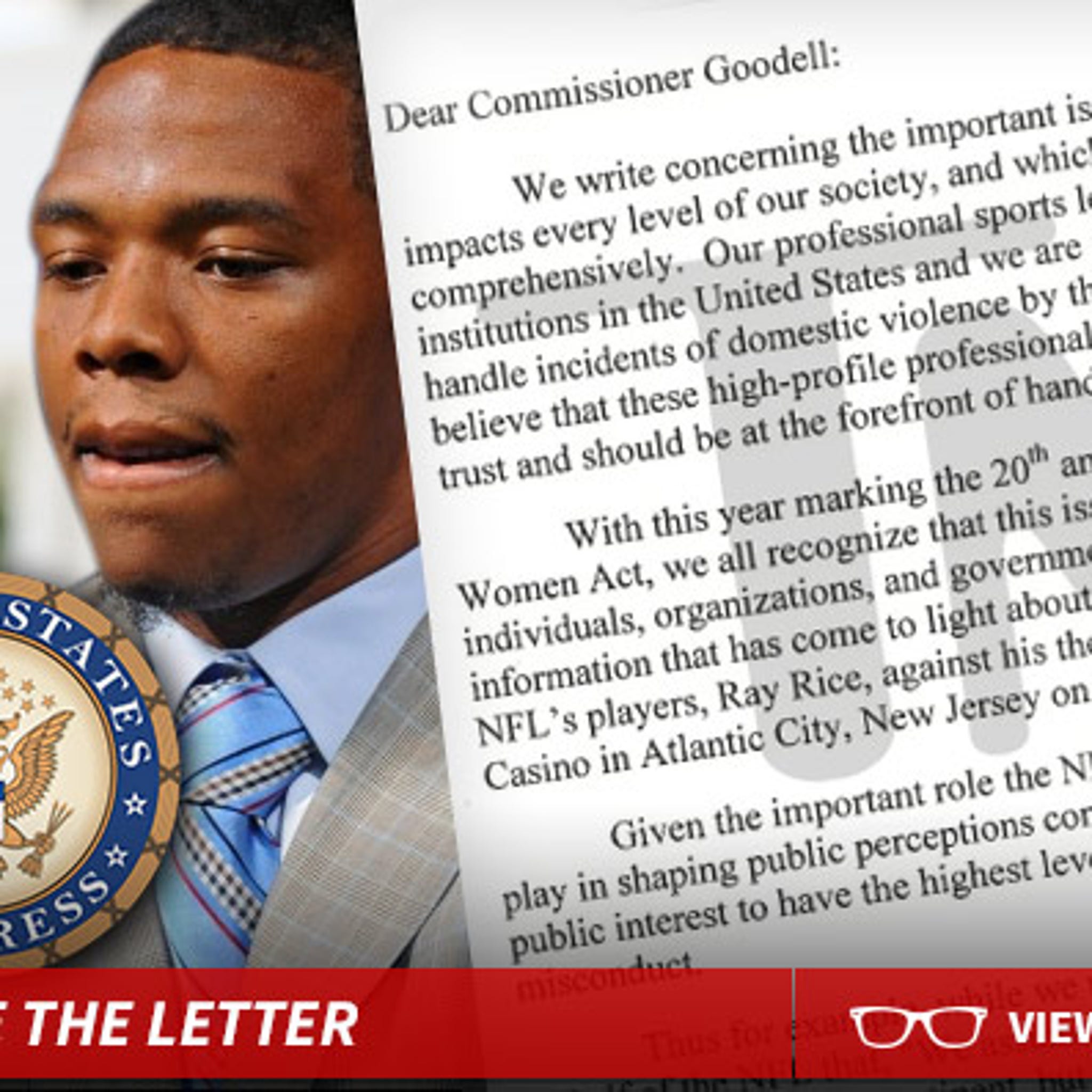 Ray Rice Ruling Highlights Roger Goodell's Missteps - The New York