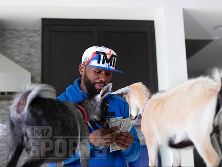 floyd mayweather and goats