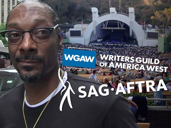 Snoop Dogg Cancels Hollywood Bowl Reveals to Assist SAG, WGA Strikes